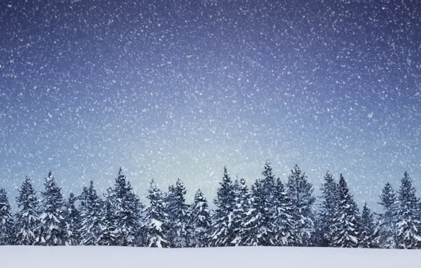Winter, snow, trees, landscape, snowflakes, nature, spruce, coniferous forest