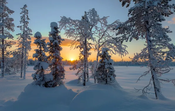 Winter, the sun, rays, snow, trees, landscape, sunset, nature