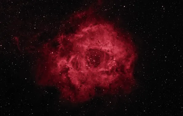 Space, stars, beauty, Rosette Nebula