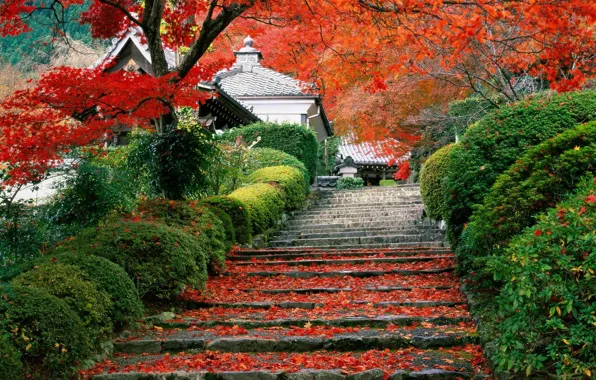 Picture autumn, Japan, garden