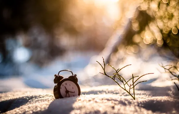 Winter, grass, snow, watch, alarm clock, bokeh