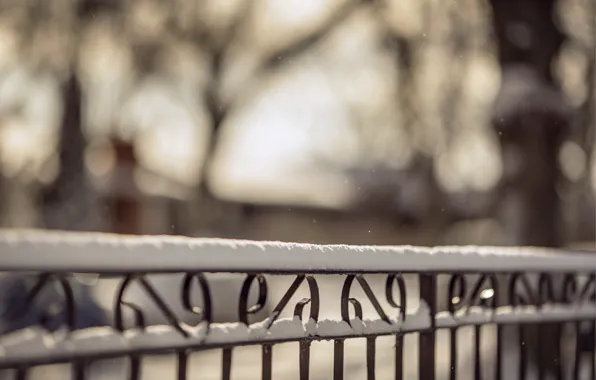 Winter, macro, snow, nature, the fence, fence, blur, rods