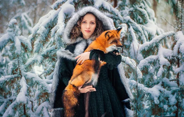 Picture winter, forest, look, girl, snow, Fox, hood, red