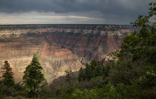 Forest, mountains, rocks, canyons