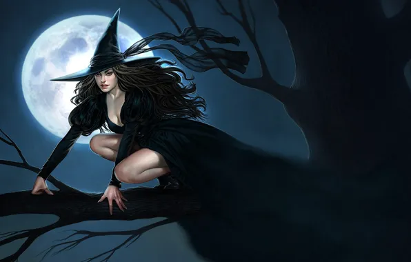 Night, tree, branch, hat, tape, Halloween, witch, the full moon