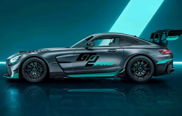 Wallpaper Mercedes, Mercedes, side view, AMG, AMG, track compartment, 2024, Mercedes-AMG GT2 Pro