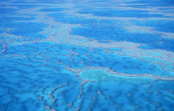 Picture sea, water, shoal, Lazur