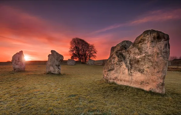 Picture field, the sky, clouds, rays, trees, sunset, nature, stones