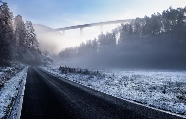 Winter, road, forest, bridge, Germany, Germany, Trier, Trier
