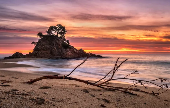 Sea, sunset, shore