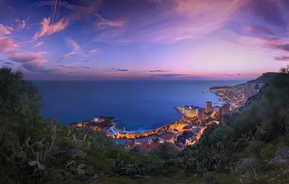 Picture sea, the city, coast, the evening, panorama, Monaco