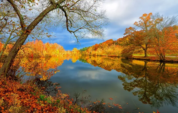 Picture autumn, landscape, nature, lake