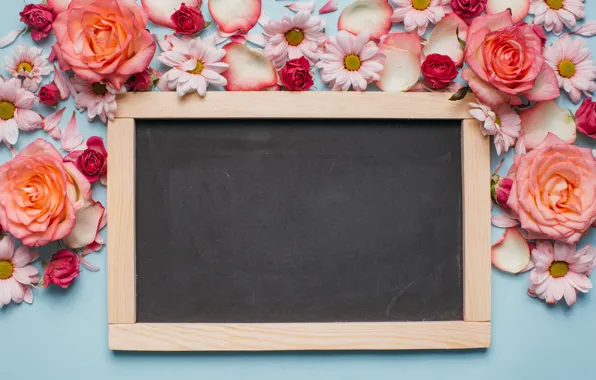 Picture flowers, Board, roses, chamomile, pink, fresh, wood, pink