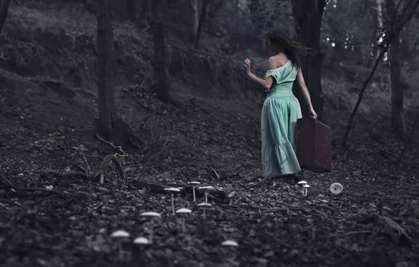 Forest, girl, suitcase
