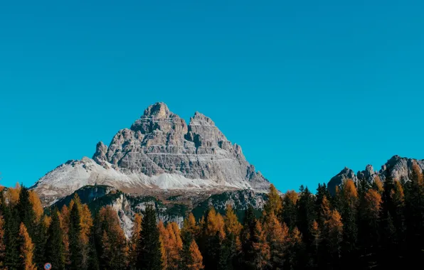Autumn, forest, the sky, trees, mountains