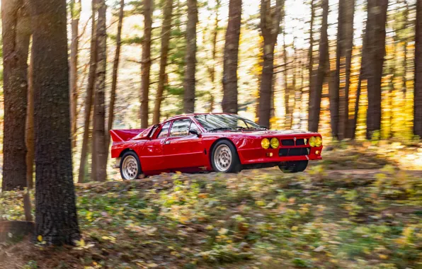 Car, forest, Lancia, Rally, 1982, Lancia Rall Stradale 037 Stradale