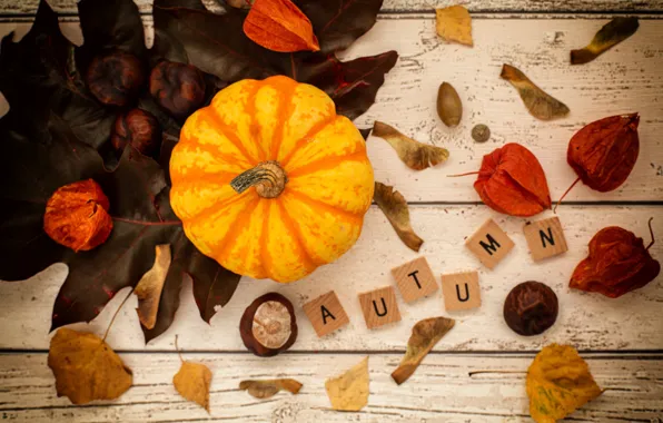 Autumn, letters, the inscription, cubes, Board, fruit, pumpkin, items