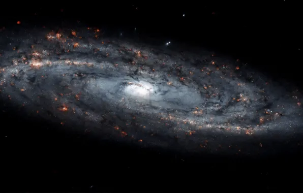 Stars, Galaxy, Spiral galaxy, Constellation Ursa Major, Star formation regions, NGC 4100