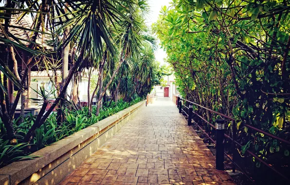 Green, nature, hotel, holiday, walkway, malaysia, lexis, port dickson