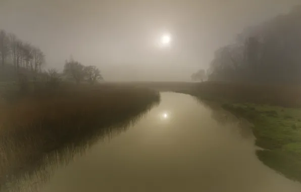 Picture grass, the sun, trees, fog, reflection, river