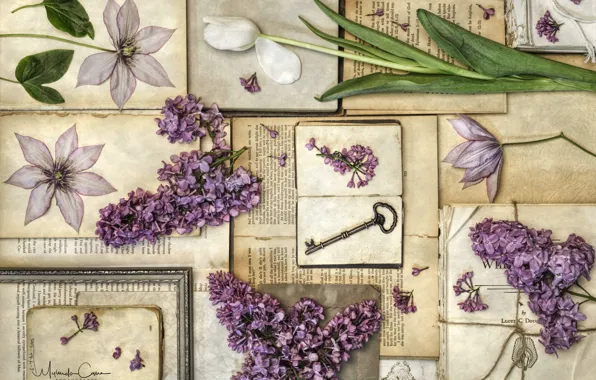 Books, Tulip, key, vintage, lilac, clematis, herbarium