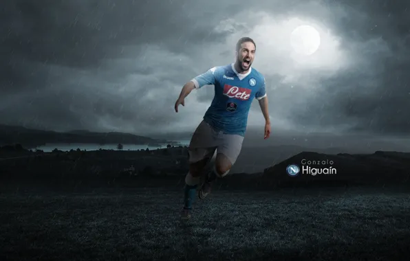 Wallpaper, sport, football, player, Gonzalo Higuain, Napoli