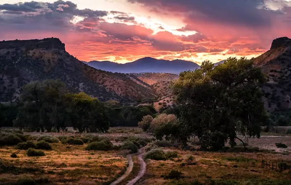 Road, field, sunset, mountains, nature