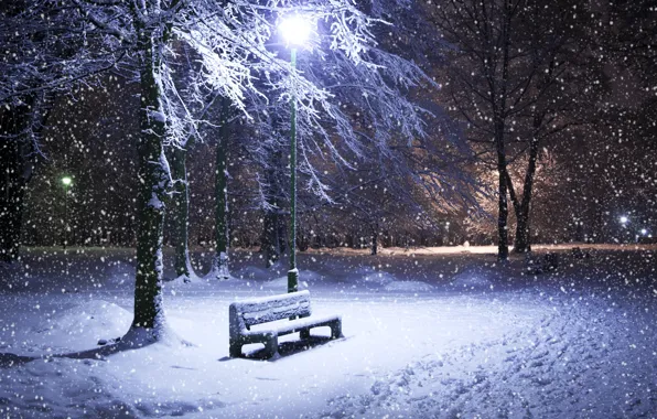Picture winter, snow, trees, night, Park, lantern, shop