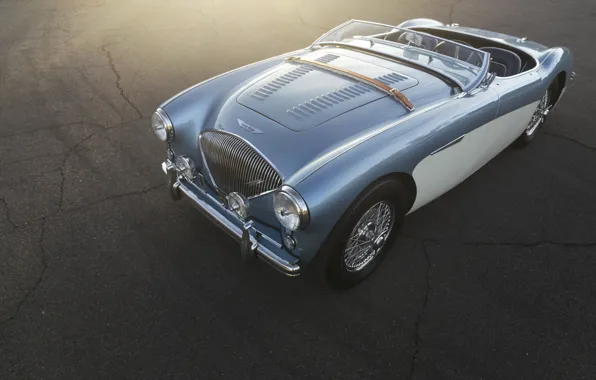 Picture car, blue, retro, austin-healey 100M