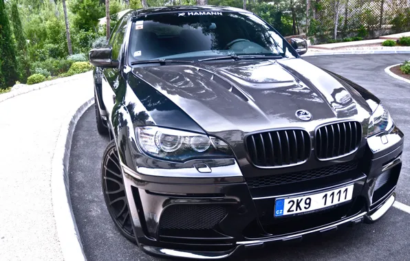 Tuning, carbon, drives, hamann, rooms, bmw x6