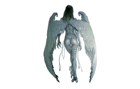 Picture girl, wings, fantasy, white background, the legs of the bird
