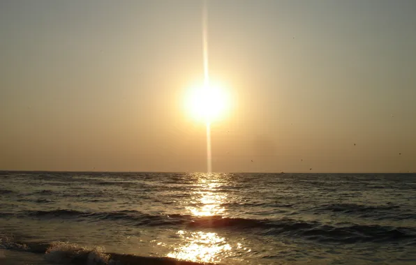 Picture wave, the sun, the evening, The sea of Azov