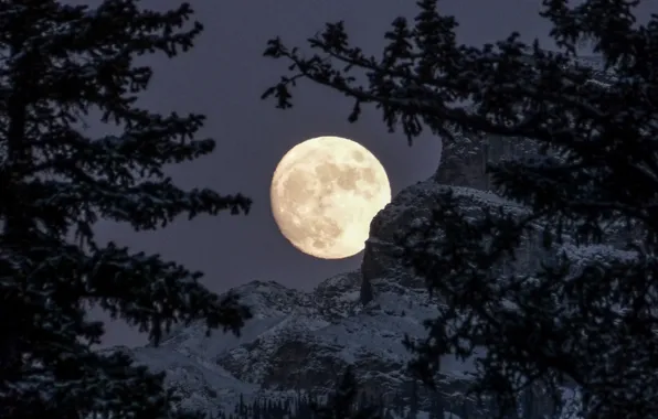 Picture the sky, snow, trees, mountains, night, nature, rocks, the moon