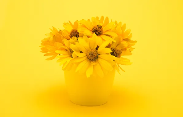 Flowers, bouquet, vase, chrysanthemum