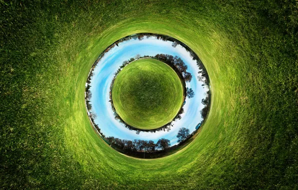 Grass, earth, photos