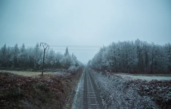 Forest, snow, railroad, power lines