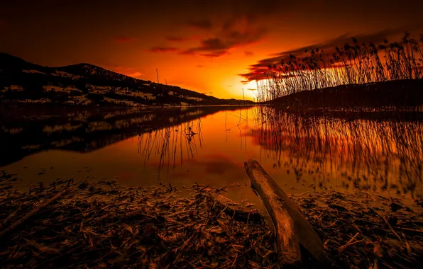 Night, nature, river