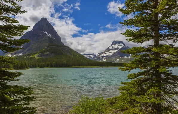 Forest, trees, mountains, lake, rocks, USA, Glacier, Montana