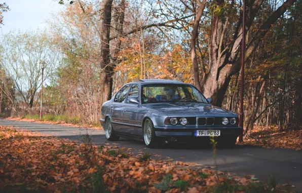 Picture autumn, tuning, bmw, BMW, drives, classic, tuning, stance