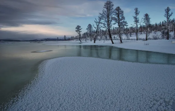 Picture winter, snow, trees, river, ice, Russia, The Republic Of Sakha, Yakutia