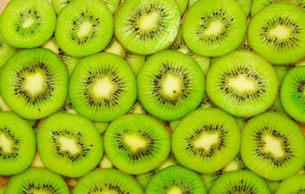 500+ Kiwi Pictures [HD] | Download Free Images on Unsplash