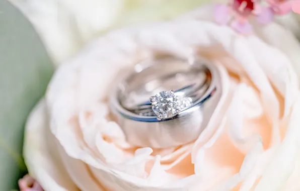 Flower, ring, wedding, engagement