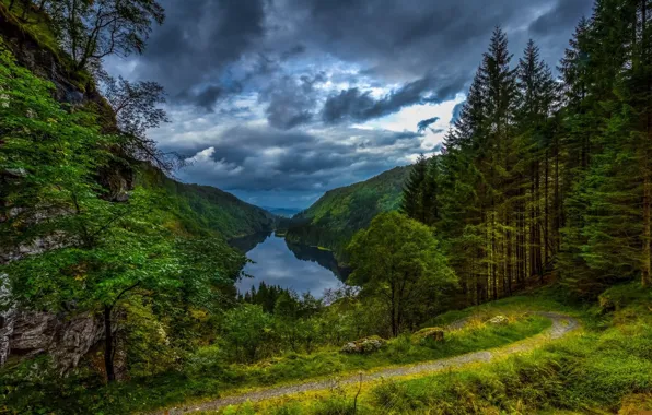 Picture landscape, night, nature