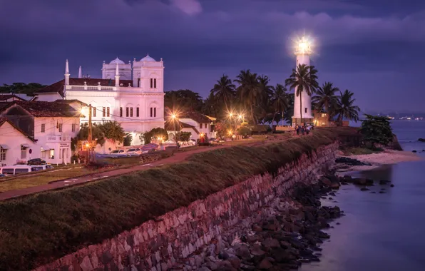 Picture landscape, the city, palm trees, the ocean, the moon, shore, lighthouse, building