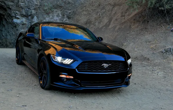 Mustang, Ford, 2015