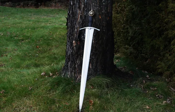 Nature, weapons, steel, sword