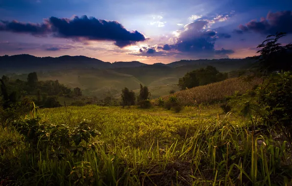 The sky, mountains, clouds, plant, Thailand, Santikhiri