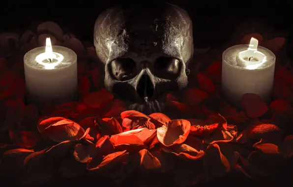 Background, skull, candles