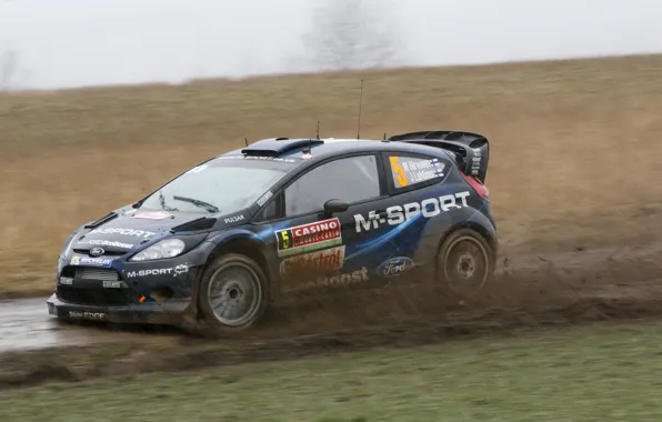 Ford, Hirvonen, rally, wrc, fiesta, 2014