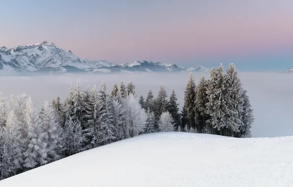 Winter, snow, trees, landscape, mountains, nature, fog